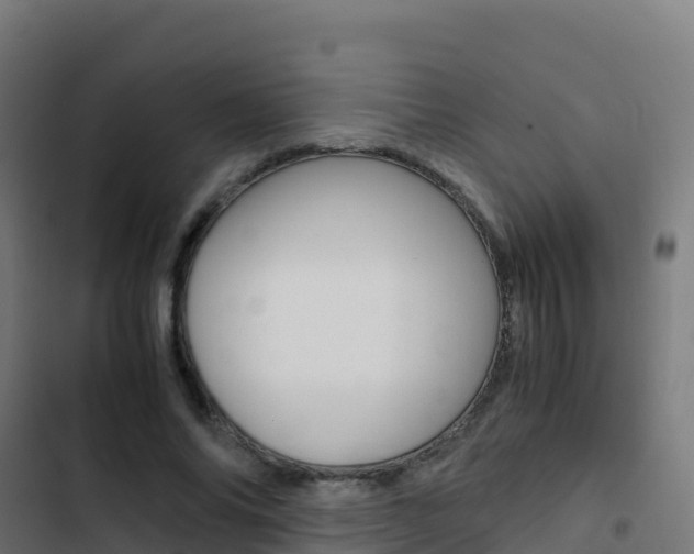 X0000103450686200809121126
