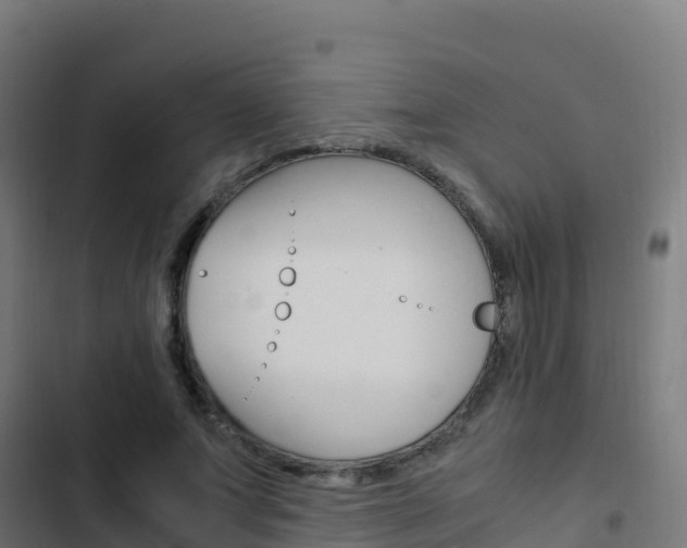 X0000103450687200809121126