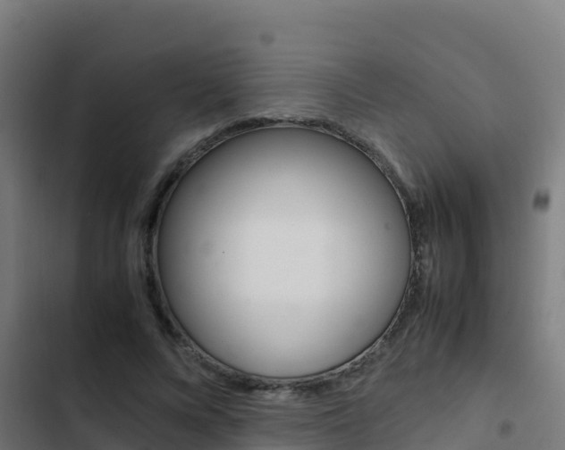 X0000103450688200809121126