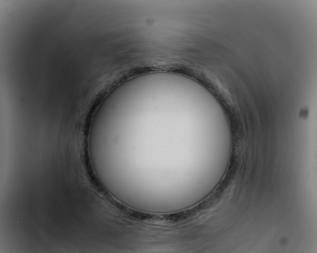 X0000103450689200809121126