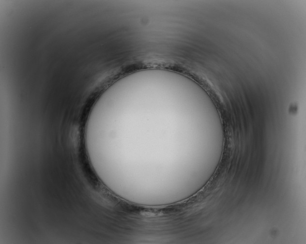 X0000103450690200809121126