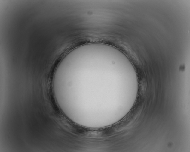 X0000103450691200809121126