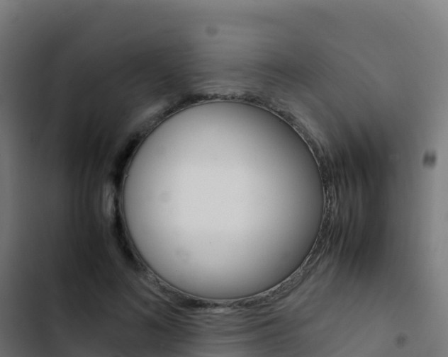 X0000103450692200809121126