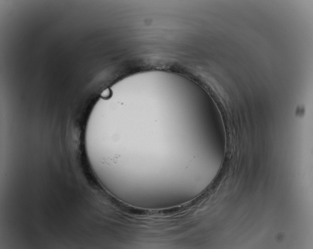 X0000103450693200809121126