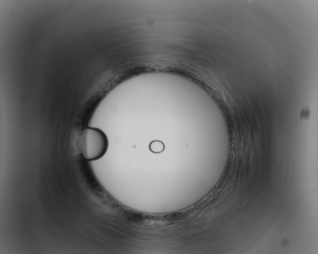 X0000103450694200809121126