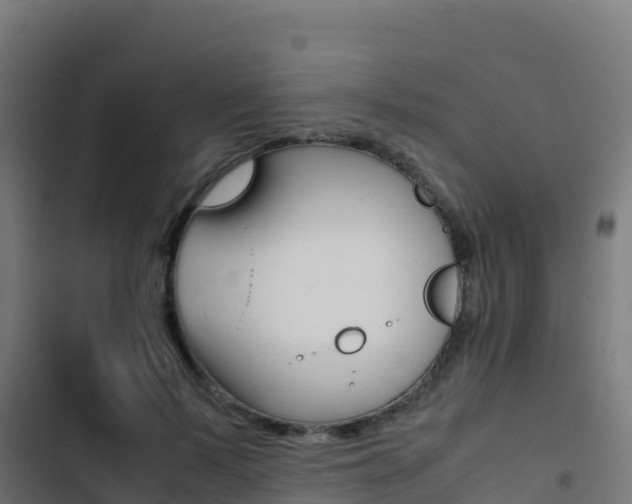 X0000103450695200809121126