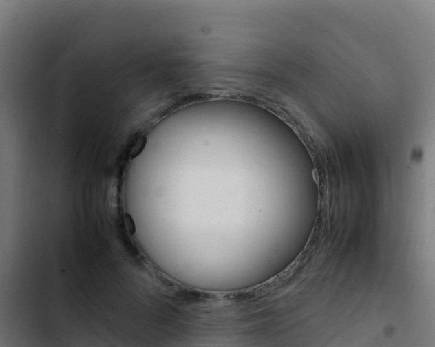 X0000103450696200809121126