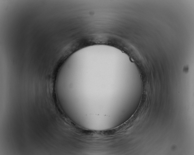 X0000103450697200809121126