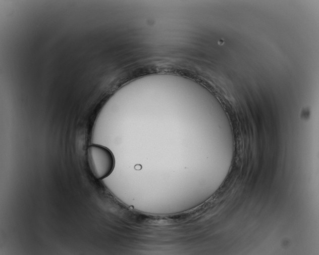 X0000103450698200809121126
