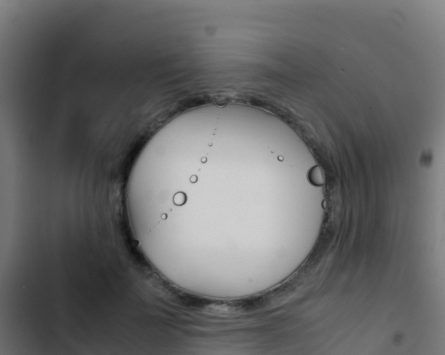 X0000103450699200809121126