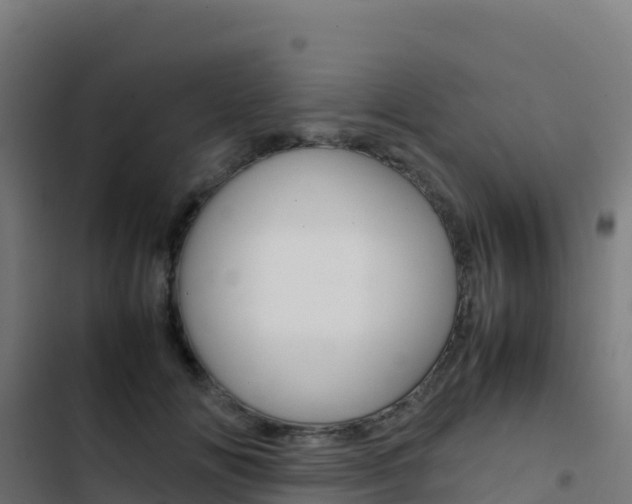 X0000103450702200809121126