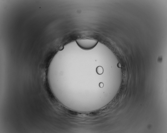 X0000103450703200809121126