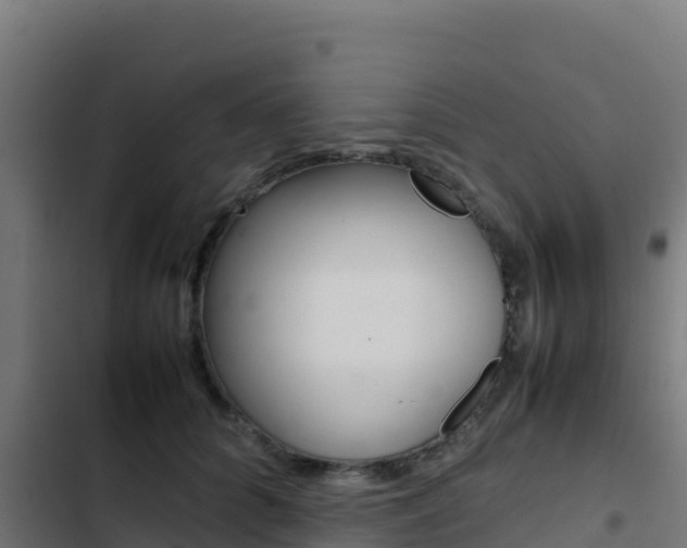 X0000103450704200809121126