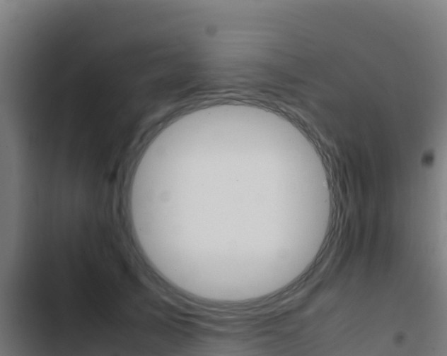 X0000103450705200809121125