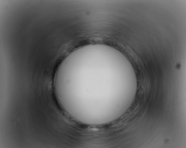 X0000103450706200809121125