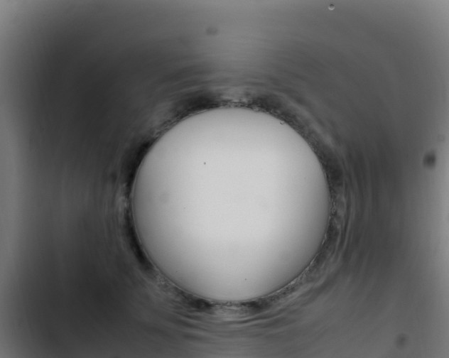 X0000103450707200809121125