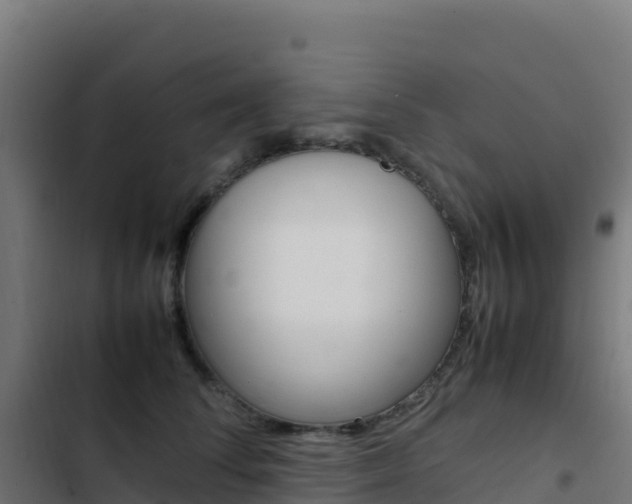 X0000103450708200809121125