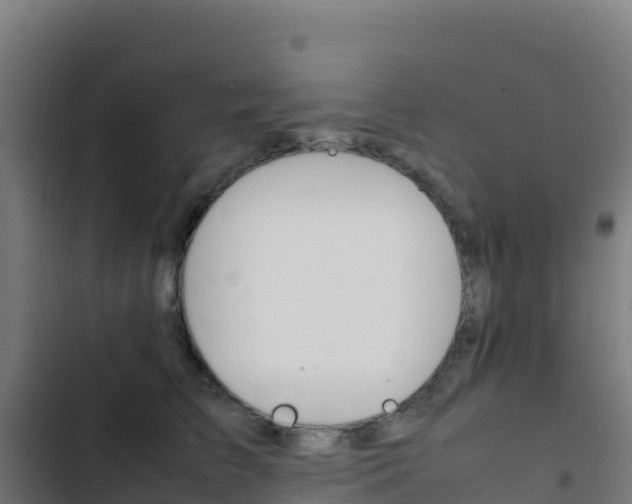 X0000103450709200809121125