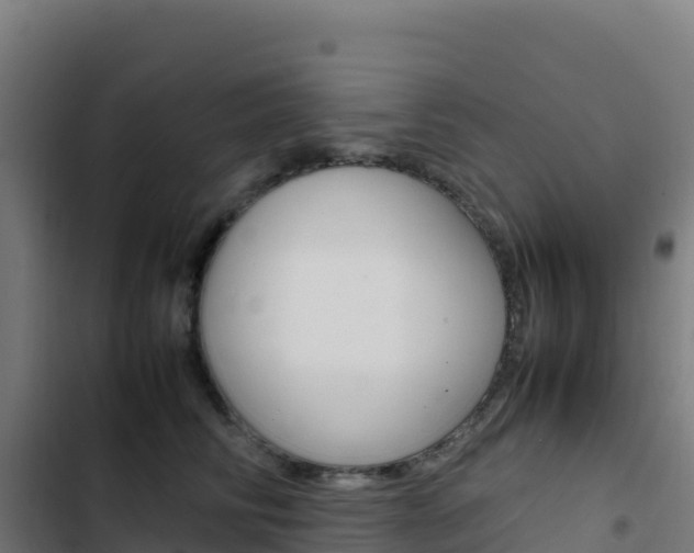 X0000103450710200809121125