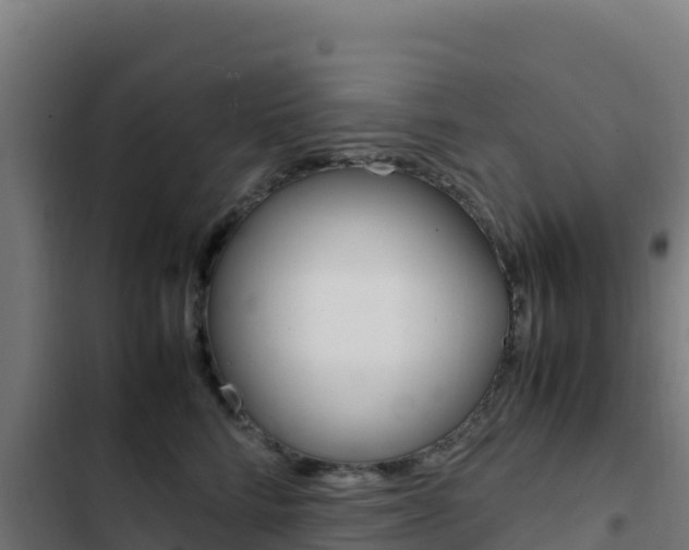 X0000103450712200809121125
