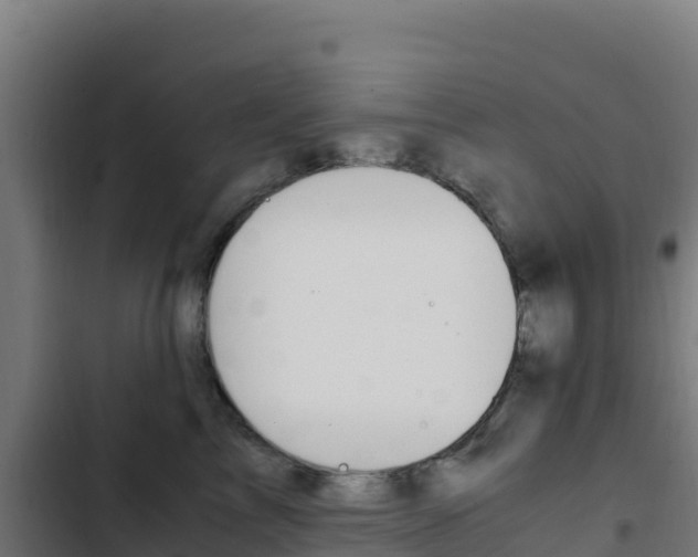 X0000103450713200809121125