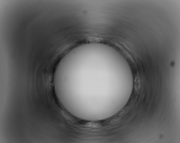 X0000103450714200809121125