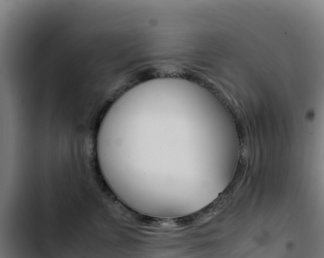 X0000103450715200809121125