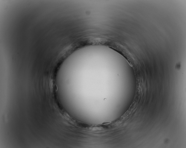 X0000103450716200809121125