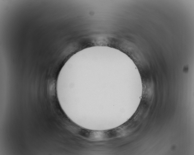 X0000103450717200809121125