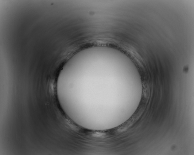 X0000103450718200809121125