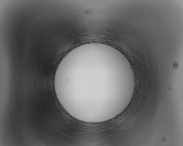 X0000103450720200809121125