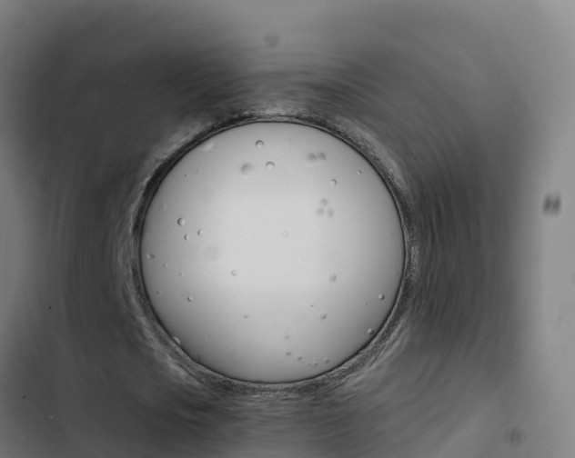 X0000103450721200809121124