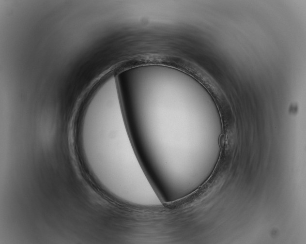 X0000103450722200809121124
