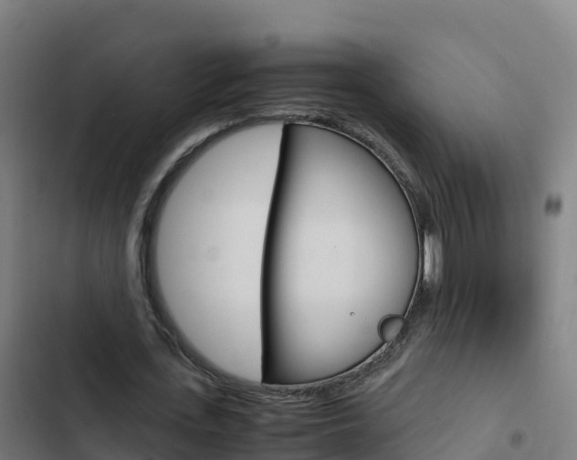 X0000103450723200809121124