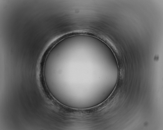 X0000103450724200809121124