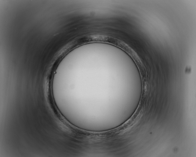 X0000103450725200809121124