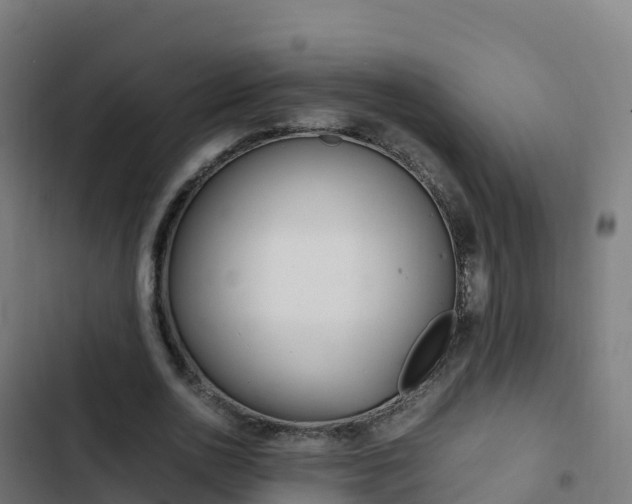 X0000103450726200809121124