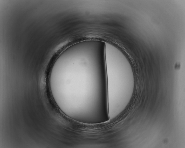 X0000103450727200809121124