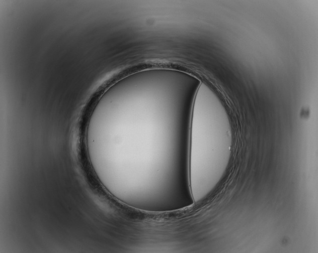 X0000103450728200809121124