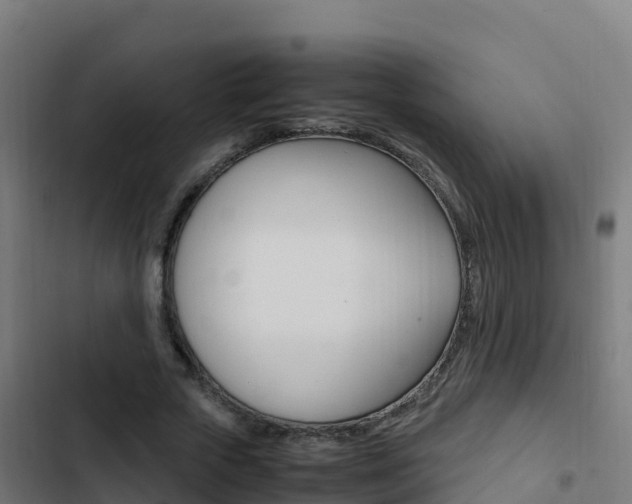 X0000103450729200809121124