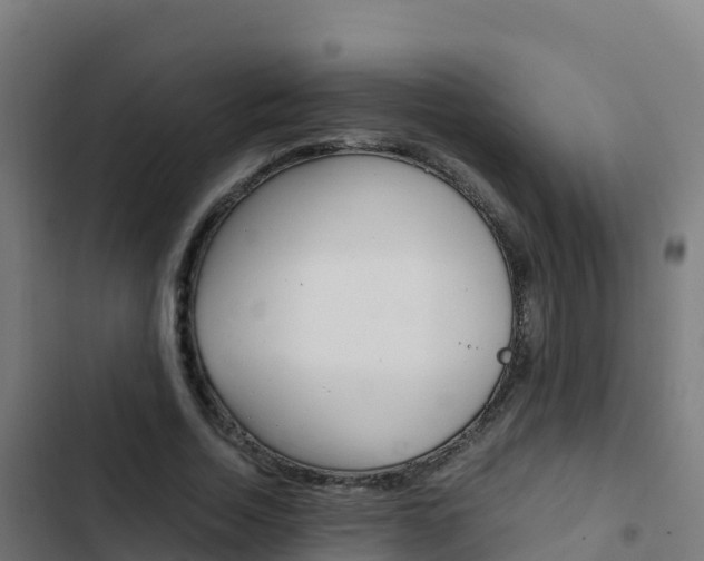 X0000103450730200809121124