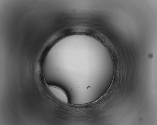 X0000103450731200809121125