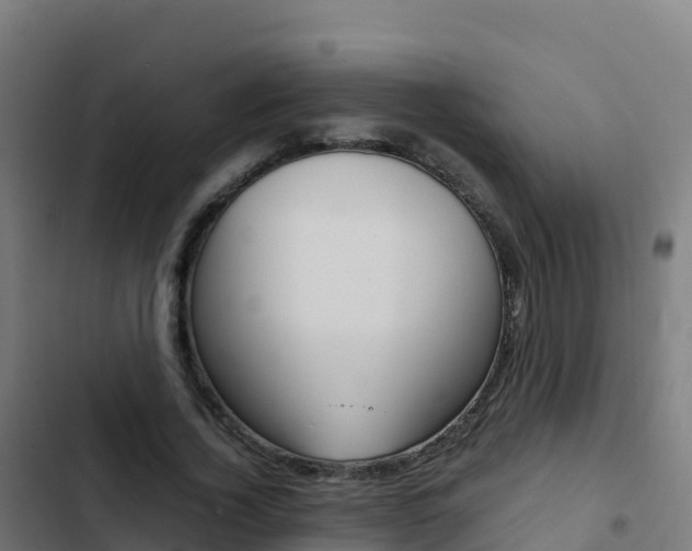 X0000103450732200809121125