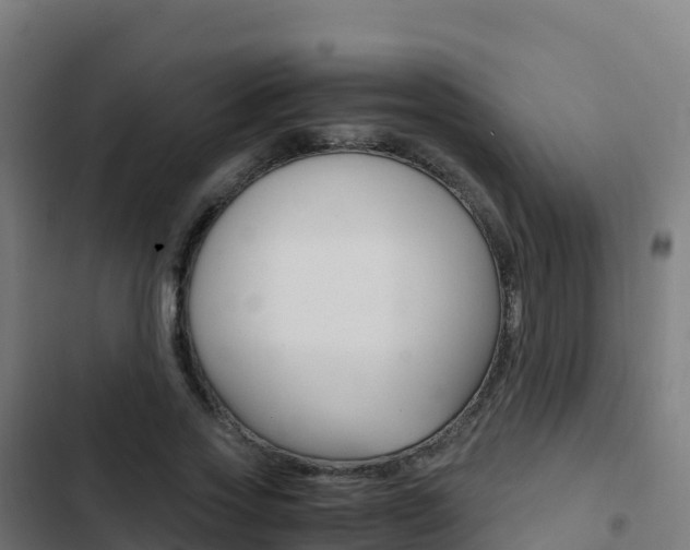 X0000103450733200809121125
