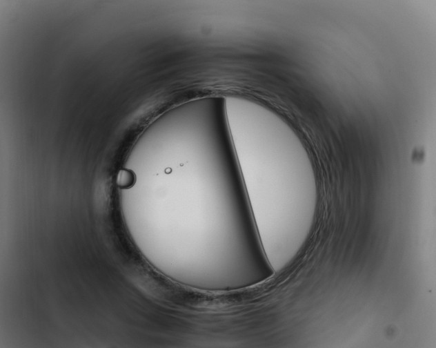 X0000103450735200809121125