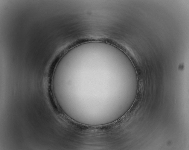 X0000103450736200809121125