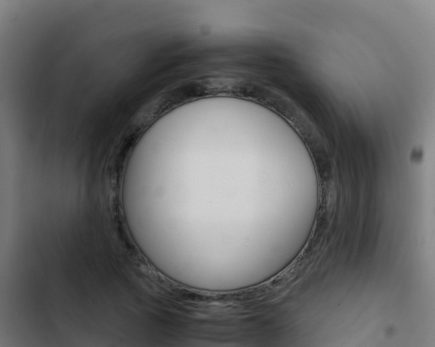 X0000103450737200809121125
