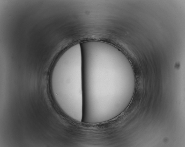 X0000103450738200809121125