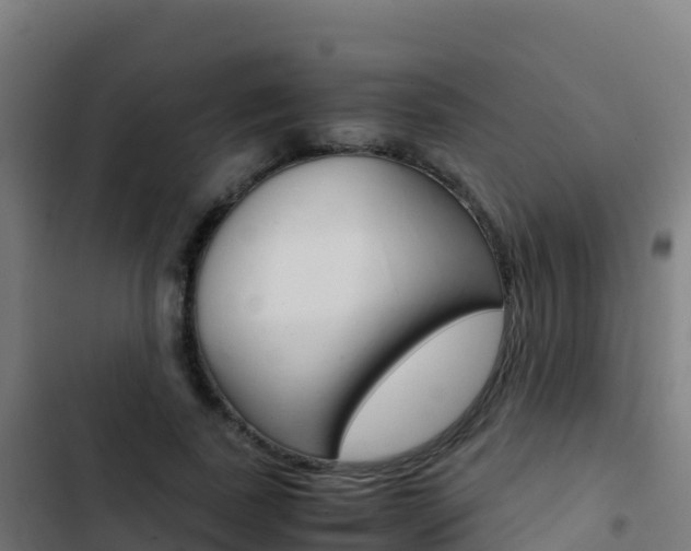 X0000103450739200809121125