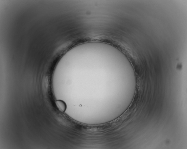 X0000103450740200809121125